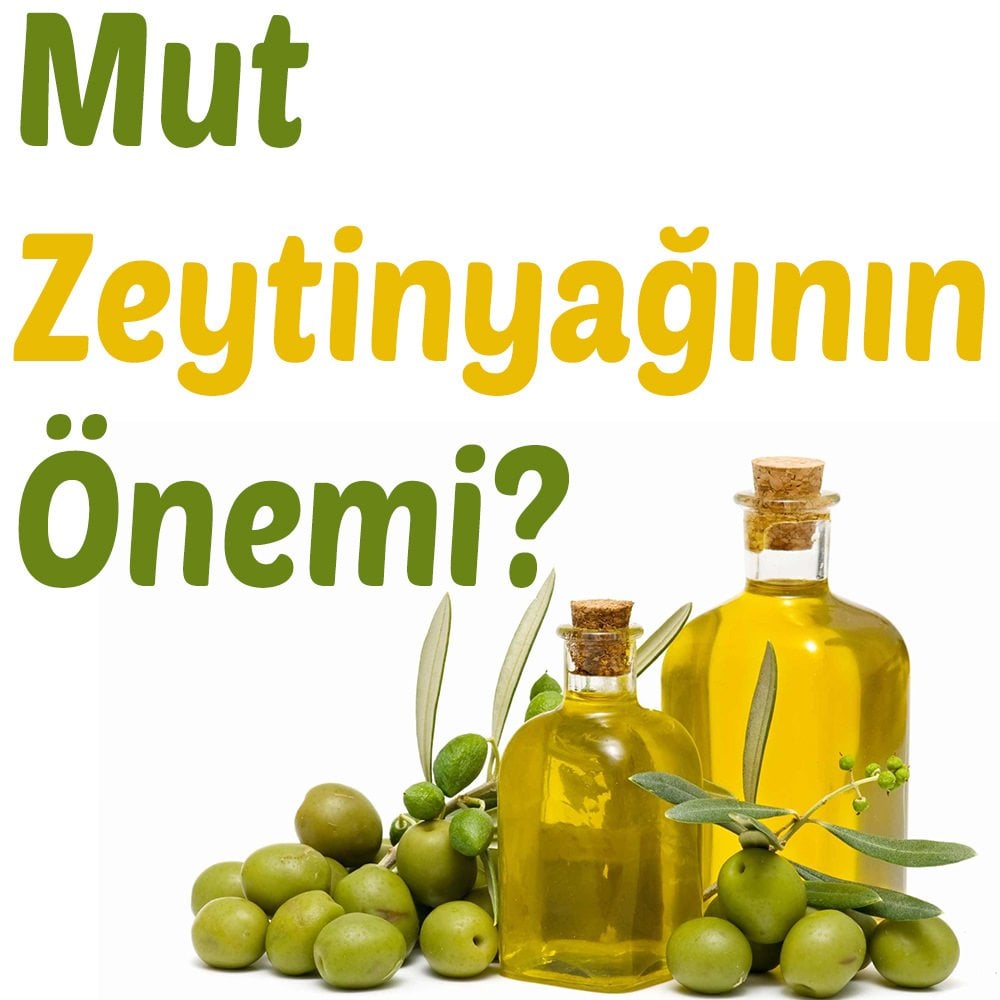 Mut Zeytinyağının Önemi