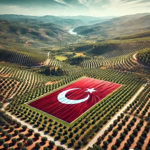 Zeytin ve Zeytinyağının Başkenti Mut İlçemizde Dünya'da  Zemine İşlenmiş En Büyük Türk Bayrağı