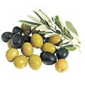 Ham Zeytin