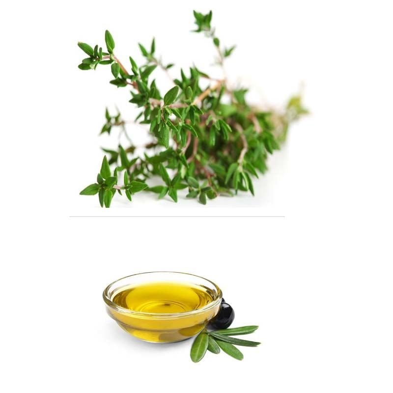 Sınırlı Stok Doğal Kekik Çeşnili Zeytinyağı 500 Ml Cam Şişe