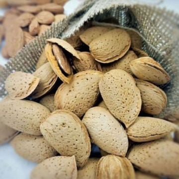 Kavrulmamış Fransız Kabuklu Çiğ Diş Bademi Ferragnes Cinsi